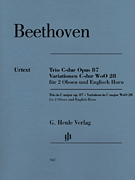 TRIO IN C MAJOR OP 87 VARIATIONS IN C MAJOR WOO 28 2 OBOES AND ENGLISH HORN cover